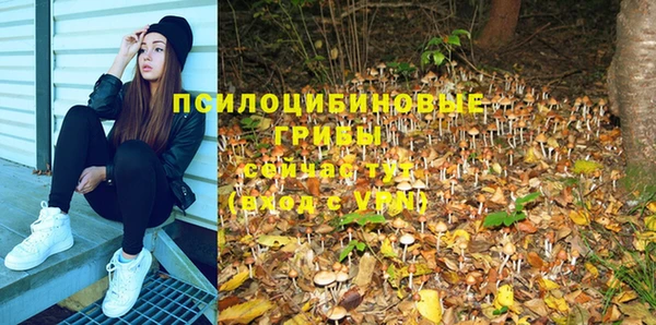 MDMA Premium VHQ Нязепетровск