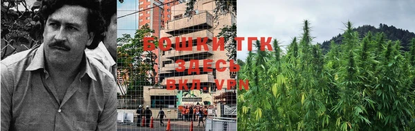твердый Абаза