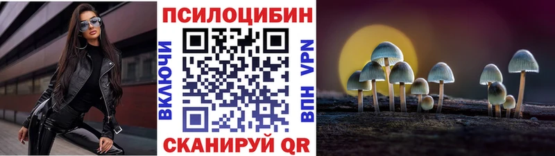 Псилоцибиновые грибы MAGIC MUSHROOMS  Пудож 